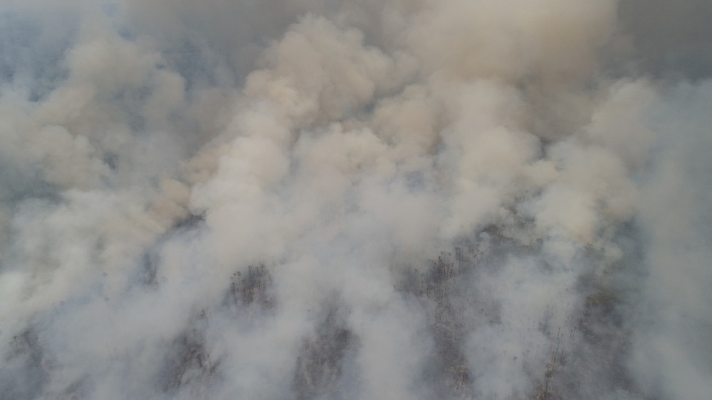 Área queimada próxima a Miranda (MS), no Pantanal. �- Foto: Chico Gomes/TV Morena