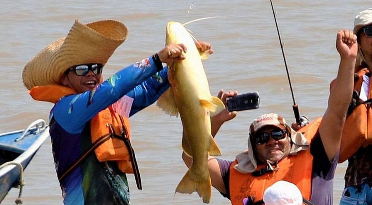 Pescadores comemoram a captura de um jau de sete quilos durante o torneio de Porto Murtinho