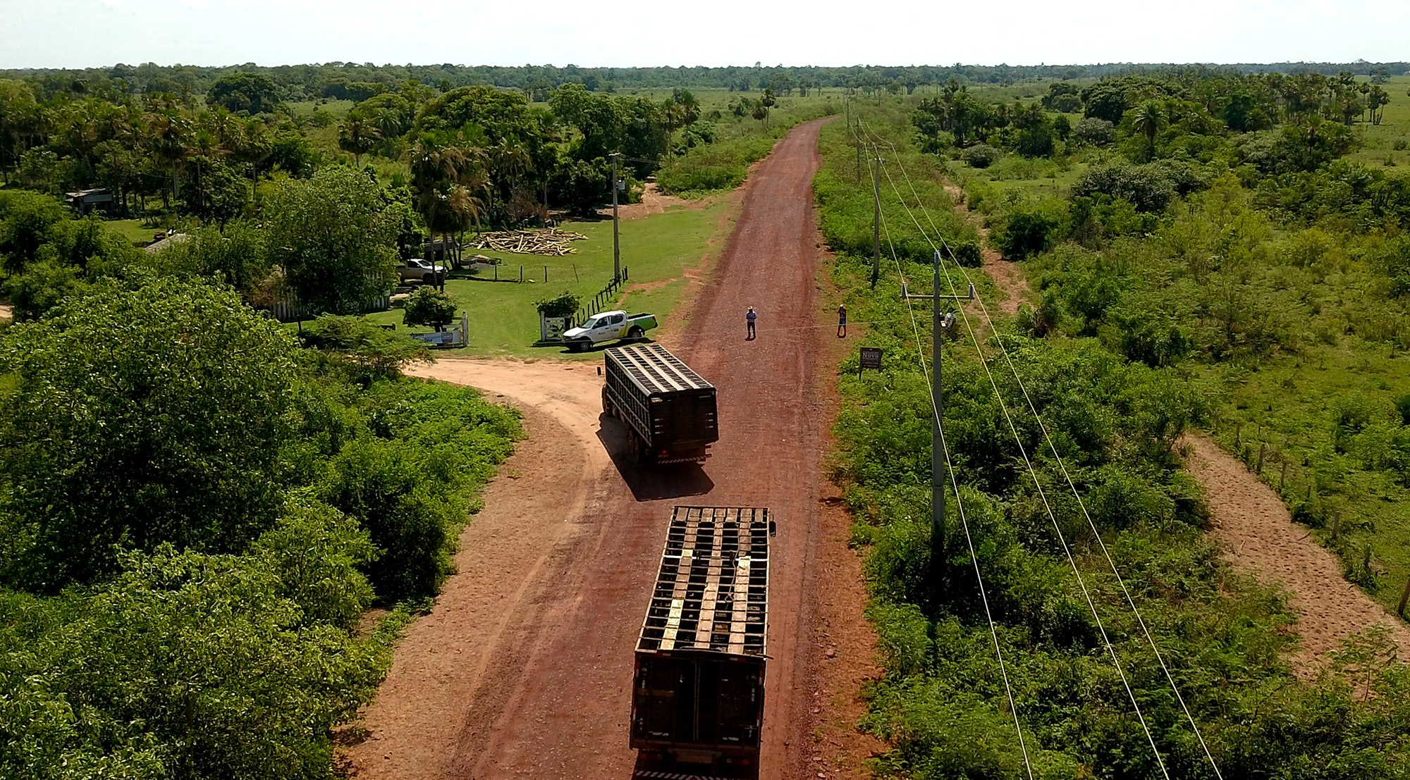 Gado chegando ao leilão de carreta, pela MS-228 cascalhada: Governo Estado leva logística ao Pantanal