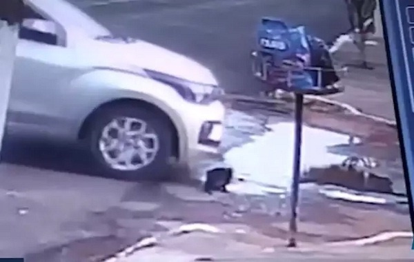 Vídeo mostra carro passando bem devagar em cima de gato (Foto: Reprodução)