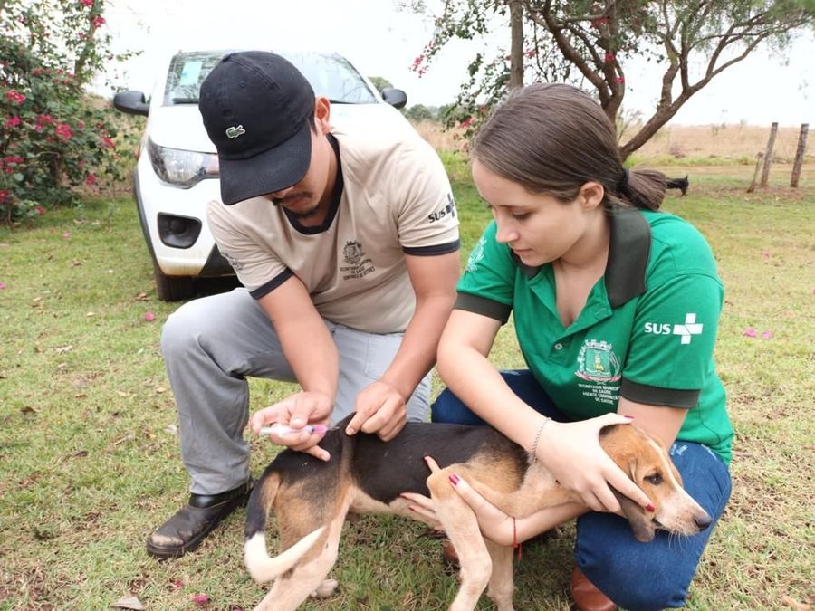 9.469 animais foram vacinados contra a raiva em Sidrolândia (Foto: Divulgação)