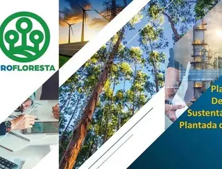 O PROFLORESTA, criado com foco no desenvolvimento sustentável de florestas, é destaque no MS no Campo