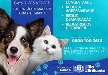 Castração de Animais: Promovendo o Bem-Estar Animal em Rio Brilhante