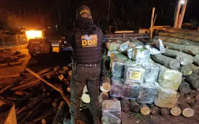 DOF apreende carga milionária de droga em meio carregamento de madeira em Ponta Porã