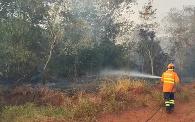 Com esforço concentrado, Corpo de Bombeiros combate incêndio florestal na região de Itaquiraí